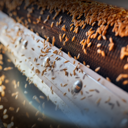 Seed Cleaning Machine